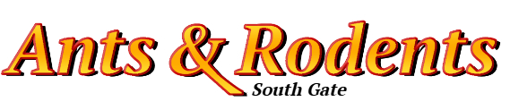 South Gate Ant Exterminator & Rodent Control Company Logo